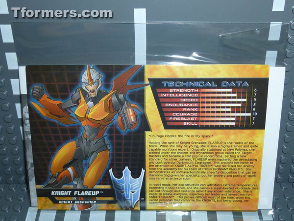 Botcon 2014 Knight 3 Pack Attendee Set  (34 of 82)